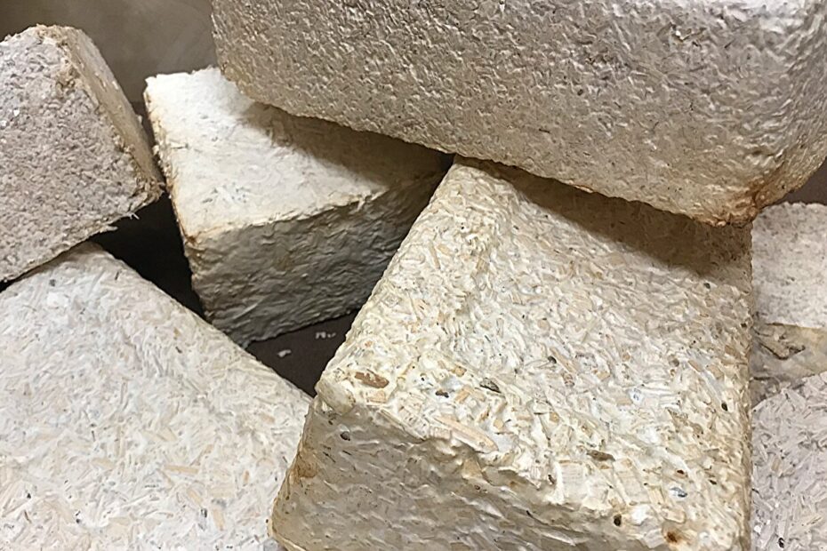 Tegelstenar framställda med hjälp av mycelium, trädgårdsavfall och träflis som en del av myko-arkitekturprojektet. Liknande material skulle kunna användas för att bygga bostäder på månen eller Mars. Bild: NASA